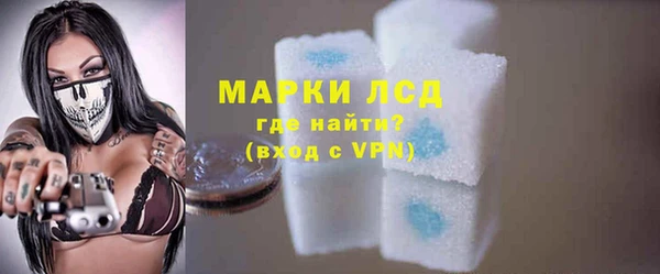 ГАЛЛЮЦИНОГЕННЫЕ ГРИБЫ Инсар