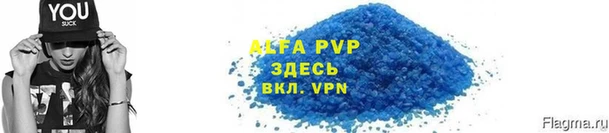 ГАЛЛЮЦИНОГЕННЫЕ ГРИБЫ Инсар