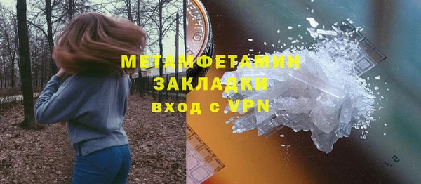 ГАЛЛЮЦИНОГЕННЫЕ ГРИБЫ Инсар