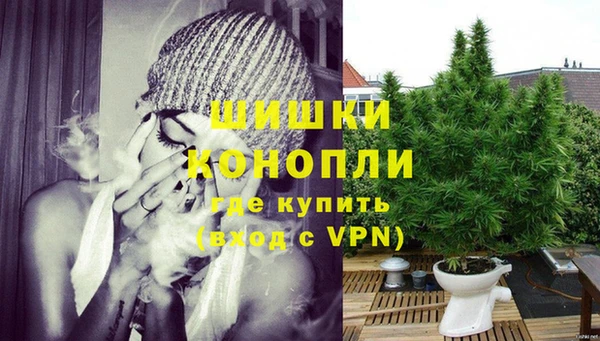 ГАЛЛЮЦИНОГЕННЫЕ ГРИБЫ Инсар