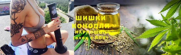 ПСИЛОЦИБИНОВЫЕ ГРИБЫ Михайлов