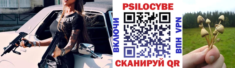 Псилоцибиновые грибы Magic Shrooms  hydra зеркало  Новочеркасск 